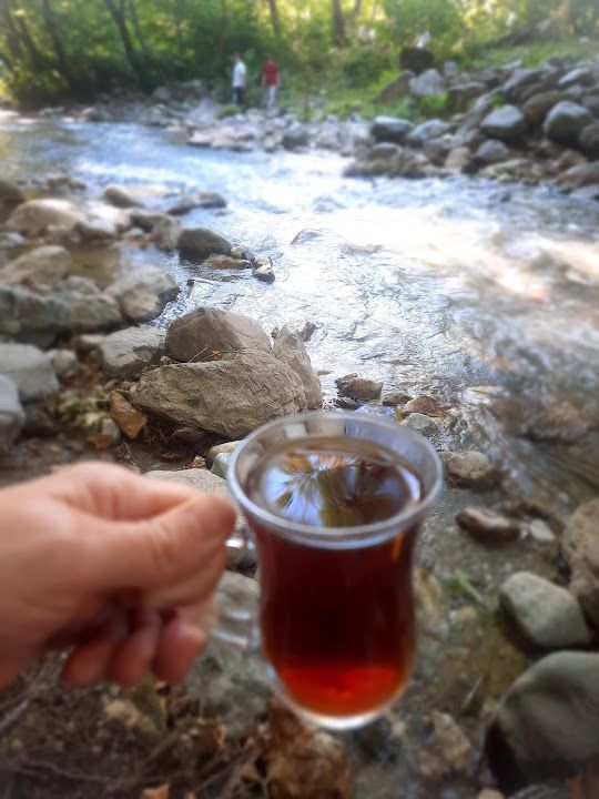 Fotoğraf 20