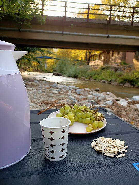 Fotoğraf 28