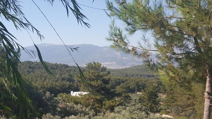 Fotoğraf 26