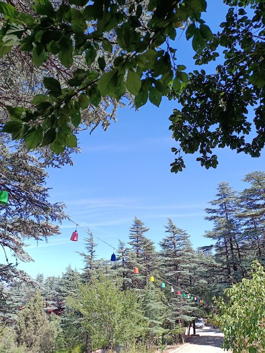 Yorum fotoğrafı 3