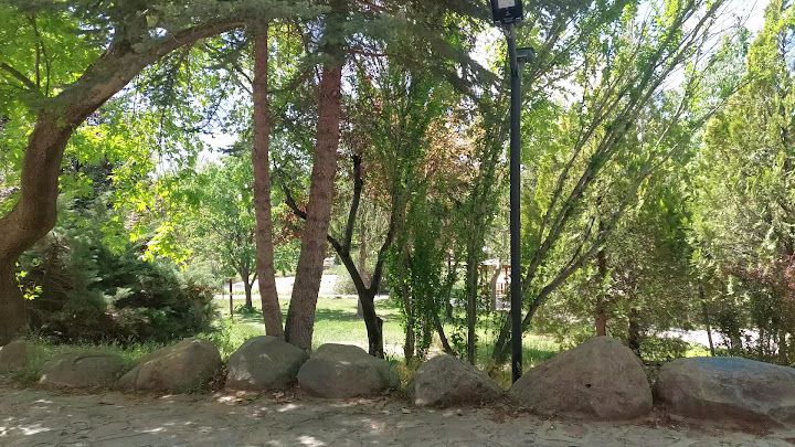 Fotoğraf 9