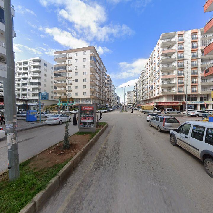 Fotoğraf 3