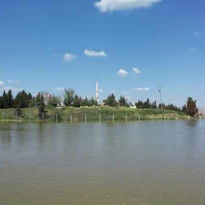 Hatay Usulü