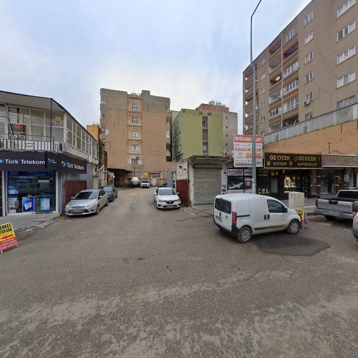 Fotoğraf 3