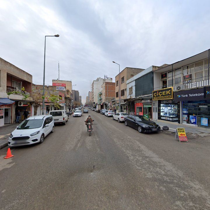 Fotoğraf 2