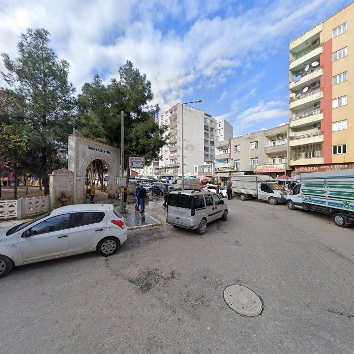 Fotoğraf 3
