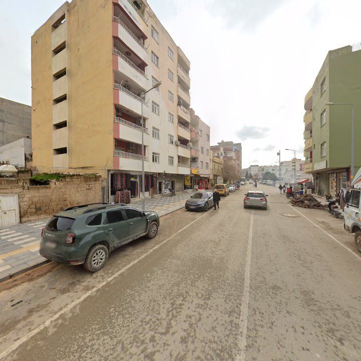 Fotoğraf 13