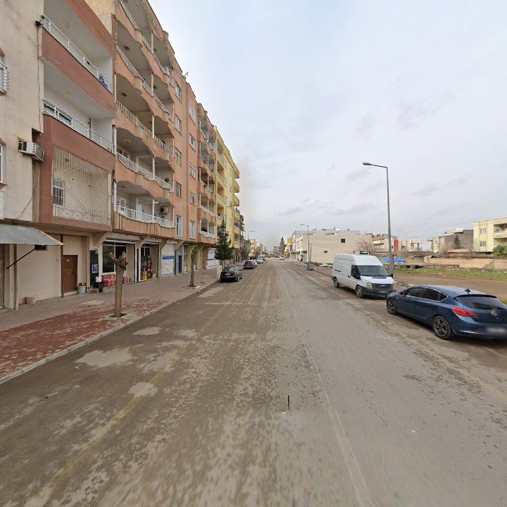 Fotoğraf 5