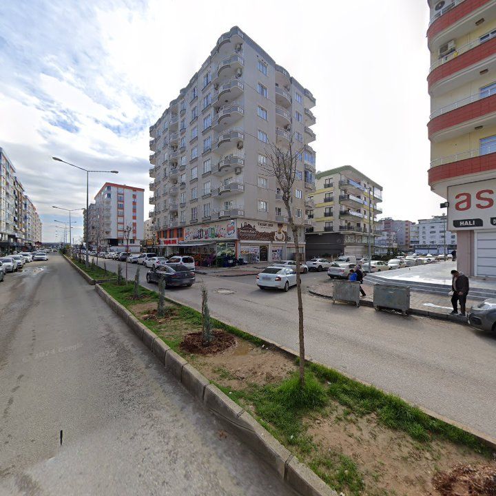 Fotoğraf 5