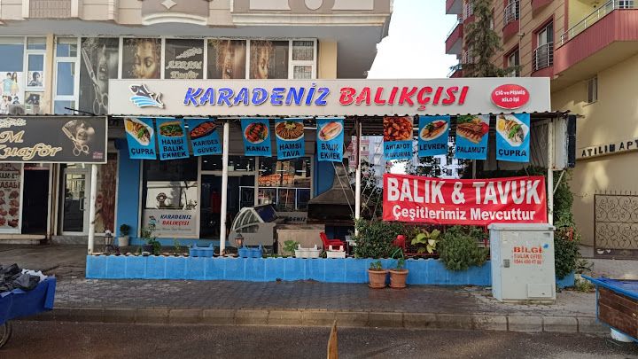Öz Karadeniz Balıkçısı Balıkçı Hdr Toki