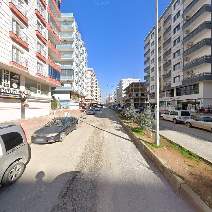 Fotoğraf 3