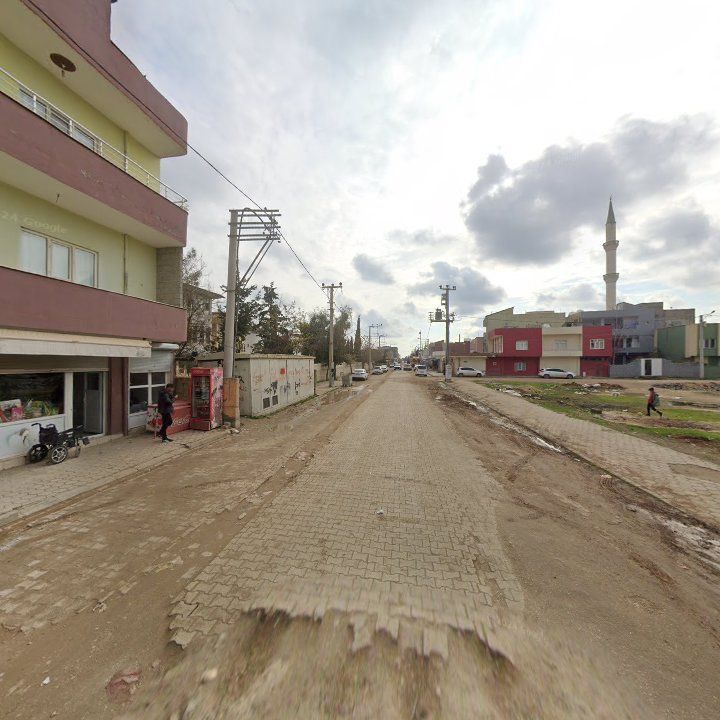 Fotoğraf 4