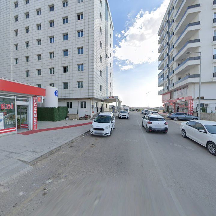 Fotoğraf 3