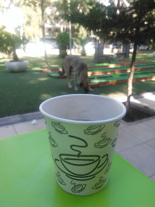 Fotoğraf 16