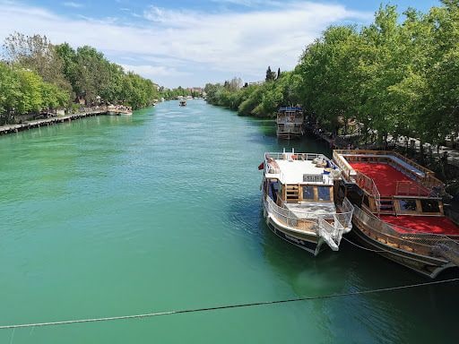 Yorum fotoğrafı 8