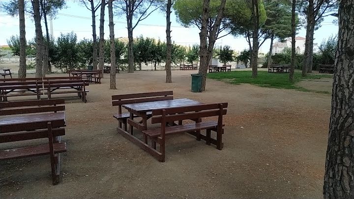 Fotoğraf 23