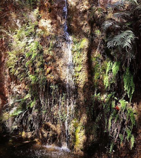 Yorum fotoğrafı 5