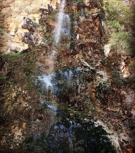 Yorum fotoğrafı 6