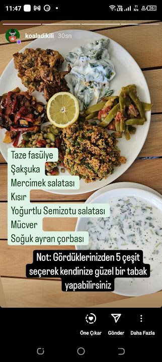 Fotoğraf 12