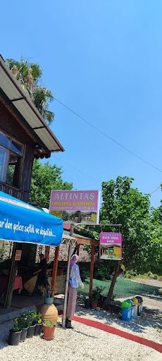 Fotoğraf 14