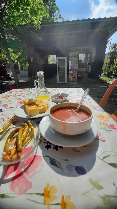 Fotoğraf 15