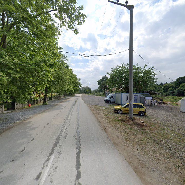 Fotoğraf 8