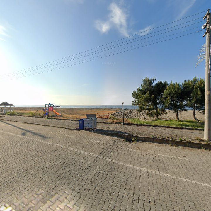 Fotoğraf 9