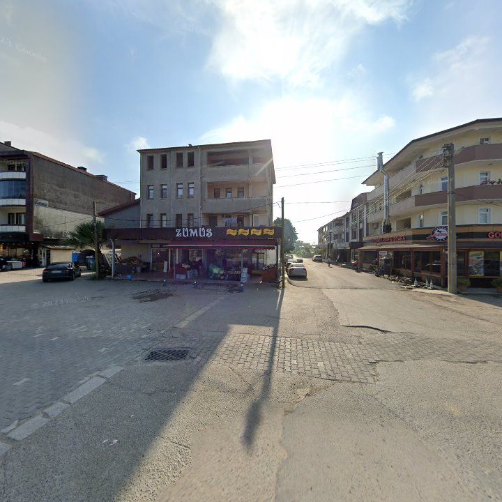 Fotoğraf 12