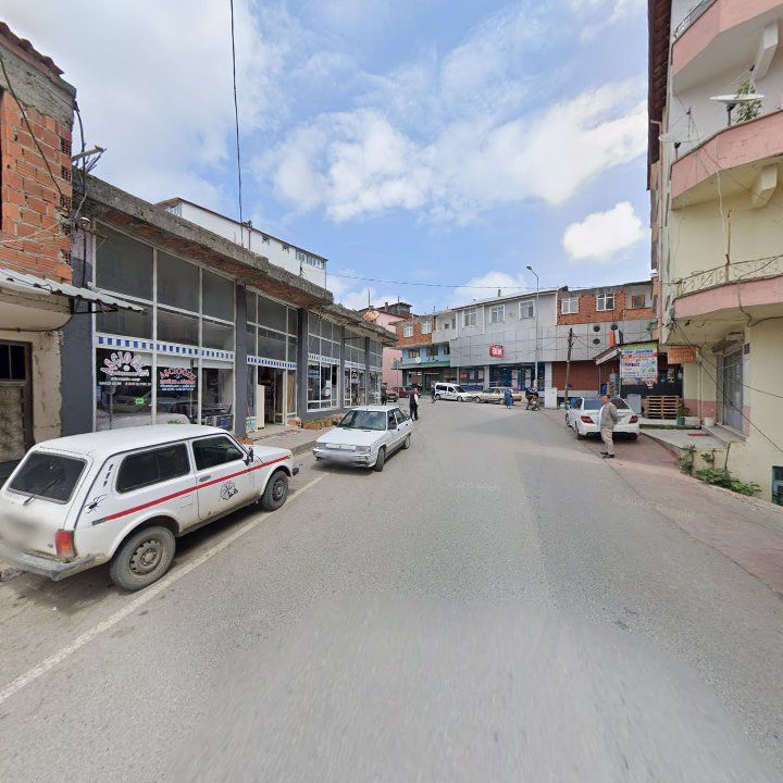 Fotoğraf 7