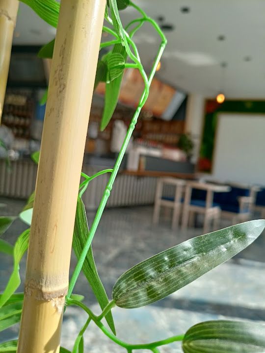 Yorum fotoğrafı 4