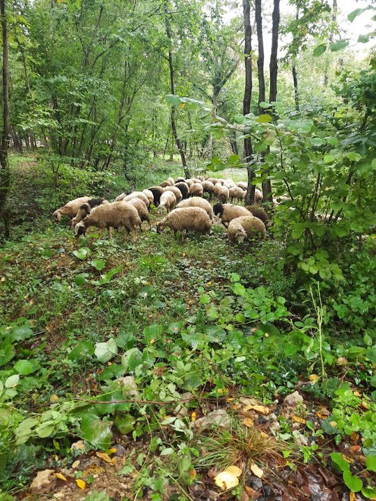 Yorum fotoğrafı 4