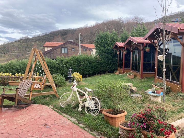 Fotoğraf 50