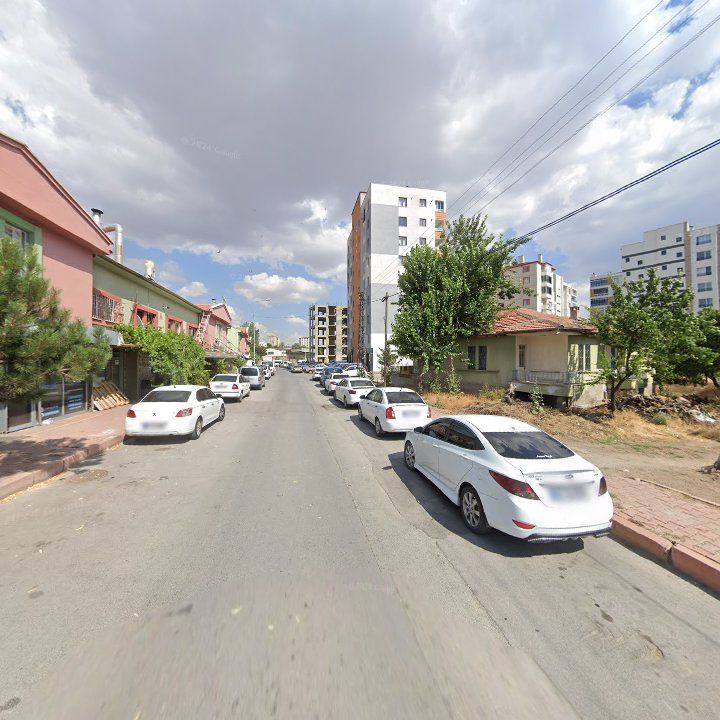 Fotoğraf 3