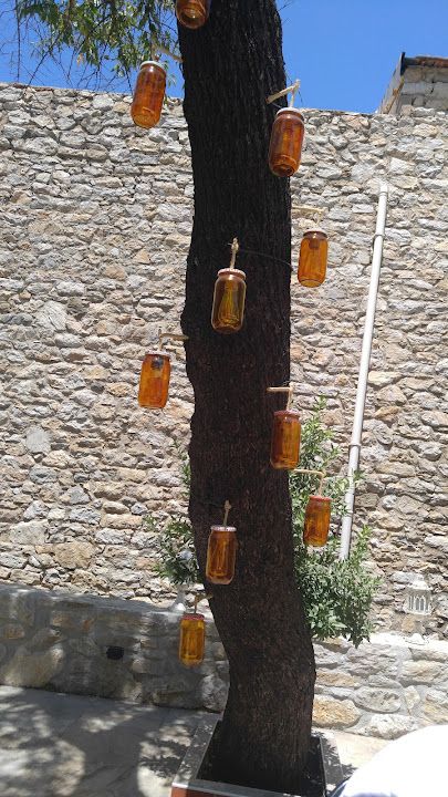 Fotoğraf 17