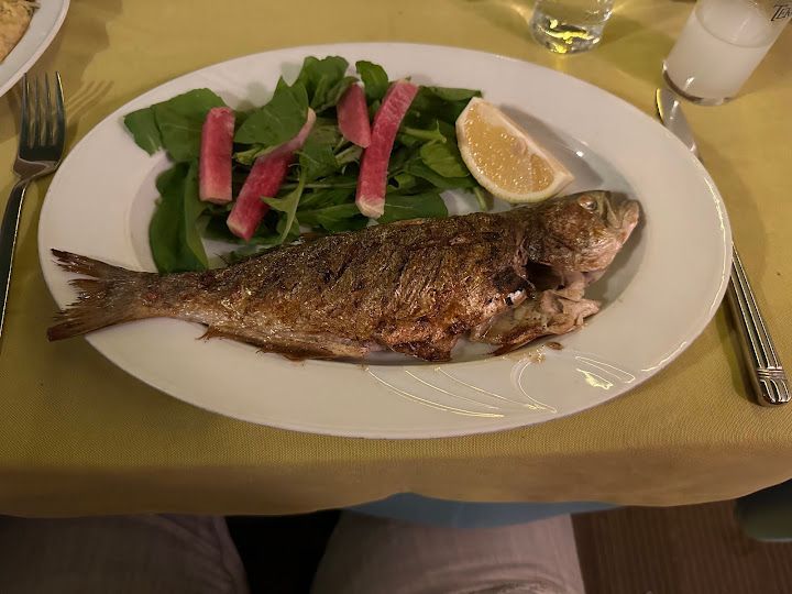 Fotoğraf 40