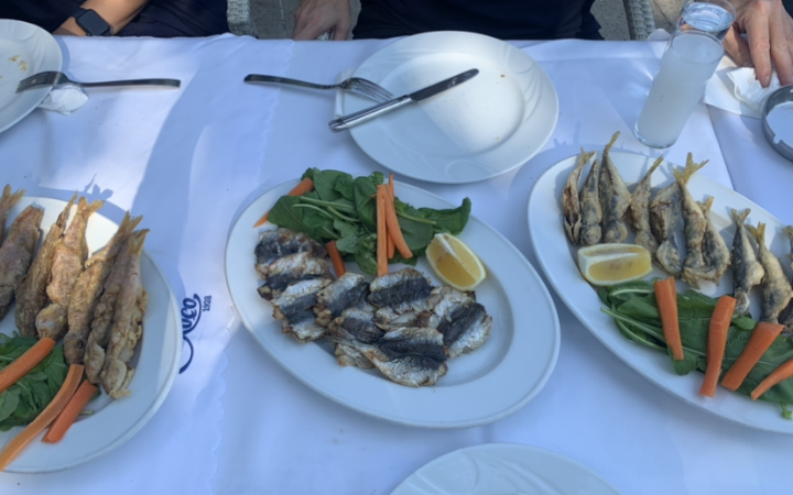 Fotoğraf 50