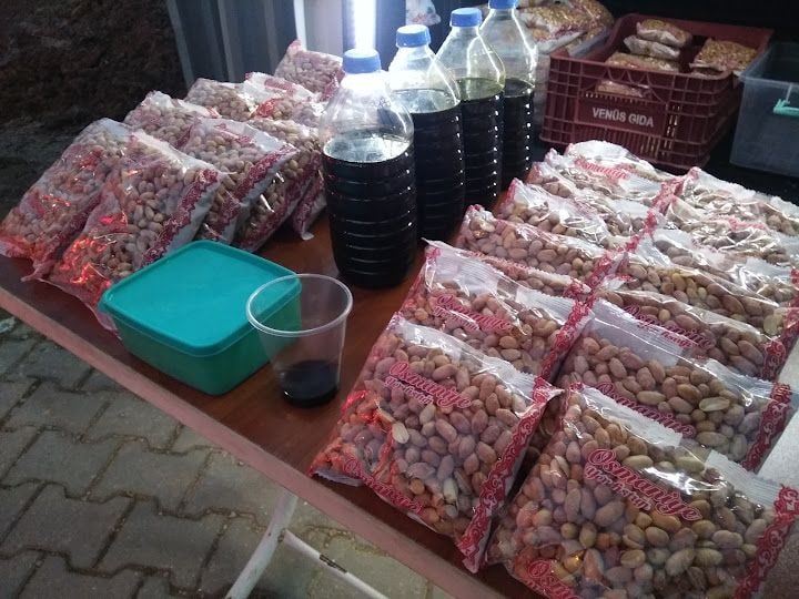 Fotoğraf 13