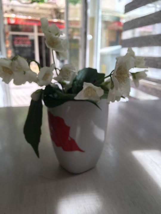Yorum fotoğrafı 4