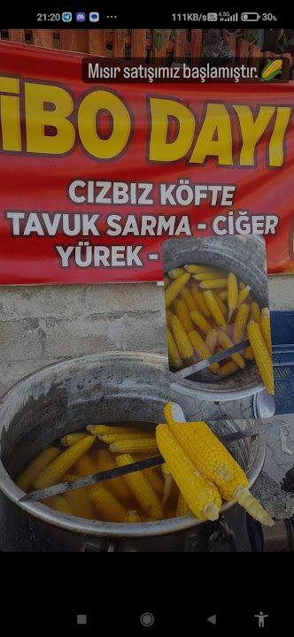 Fotoğraf 11