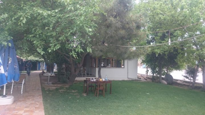 Fotoğraf 48