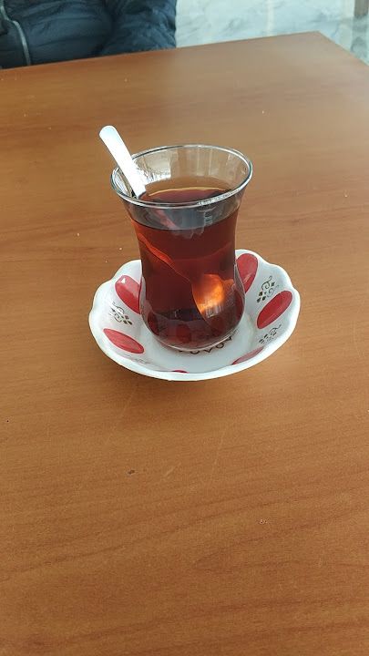Fotoğraf 14