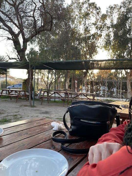 Fotoğraf 14