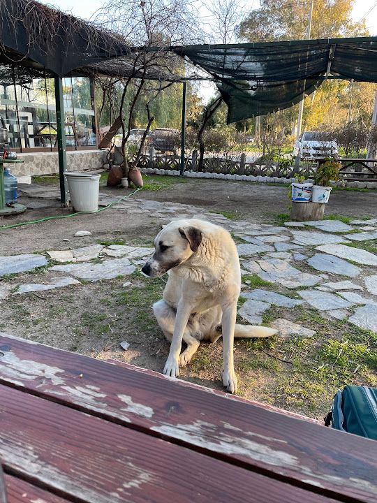 Fotoğraf 13