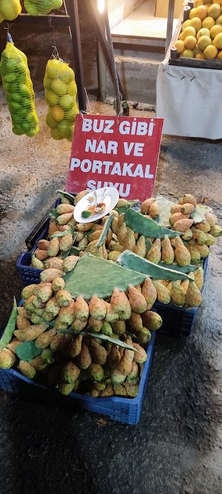 Fotoğraf 18