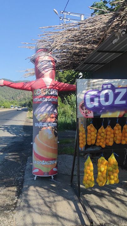 Fotoğraf 22
