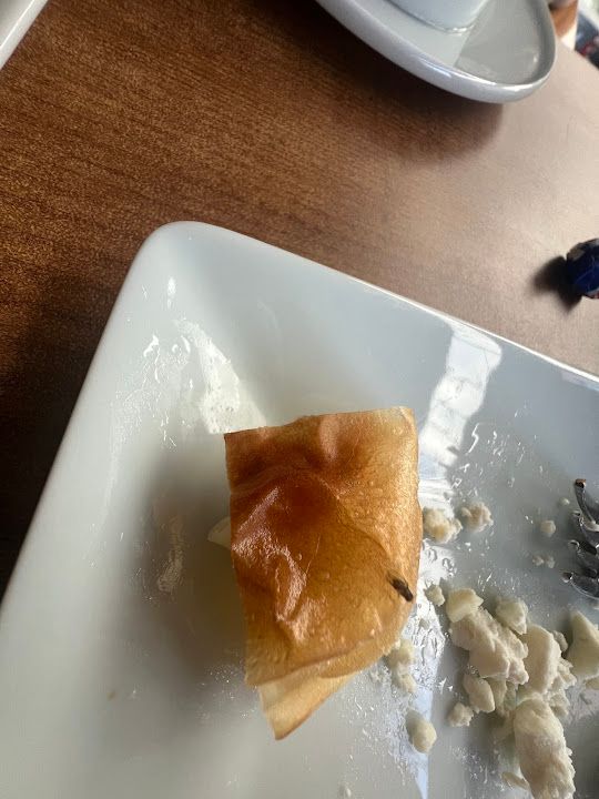 Fotoğraf 13