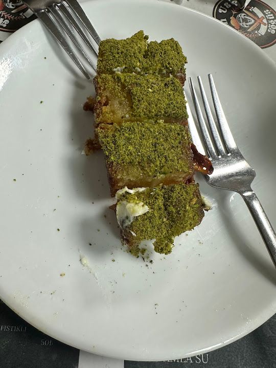 Yorum fotoğrafı 4