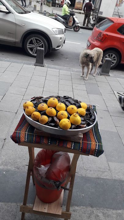 Fotoğraf 11
