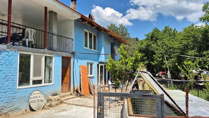 Fotoğraf 9