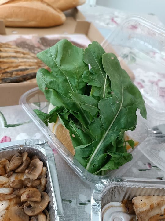 Fotoğraf 19